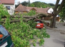 Kwikfynd Tree Cutting Services
montville